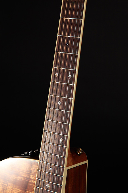 http://www.takamineguitars.co.jp/blog/004.jpg