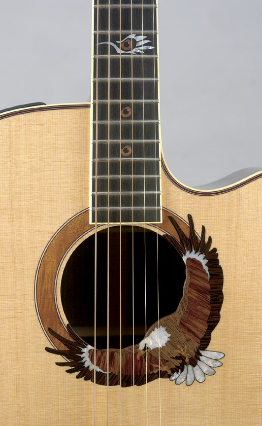 http://www.takamineguitars.co.jp/blog/2003LTDcloseup.A.jpg