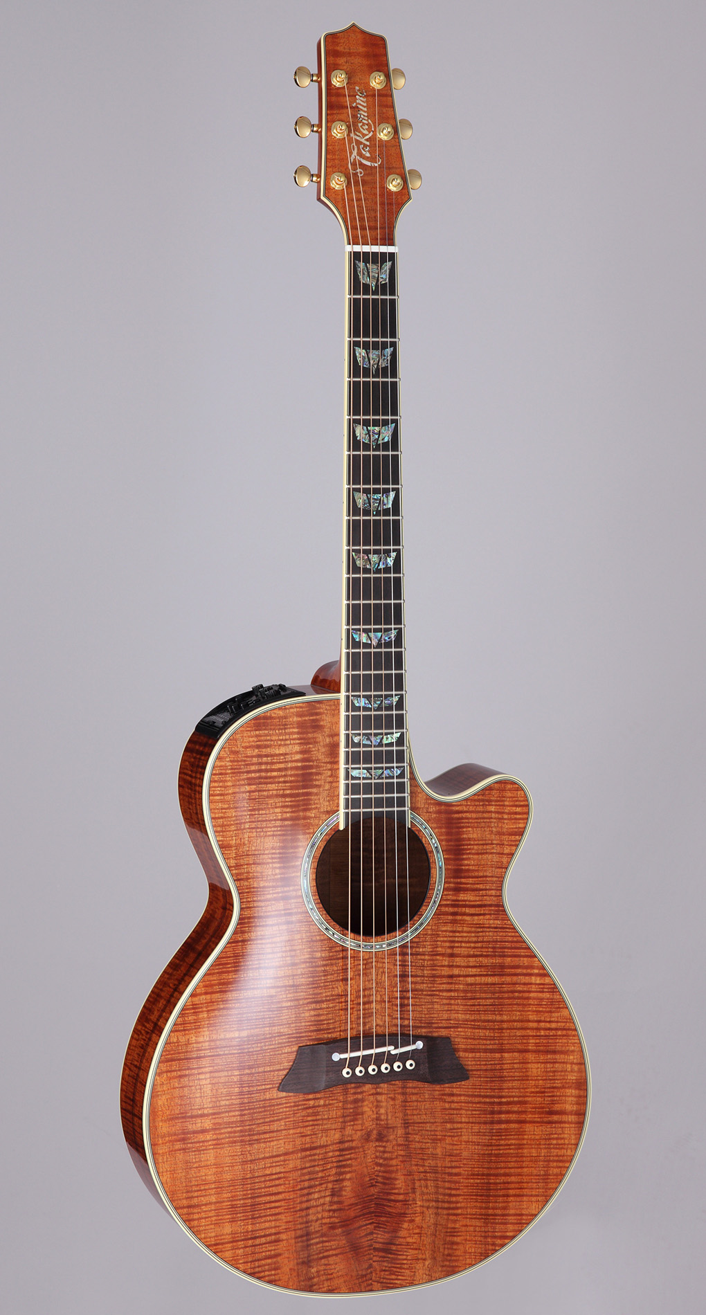 http://www.takamineguitars.co.jp/blog/DMP181ACK%20N.jpg