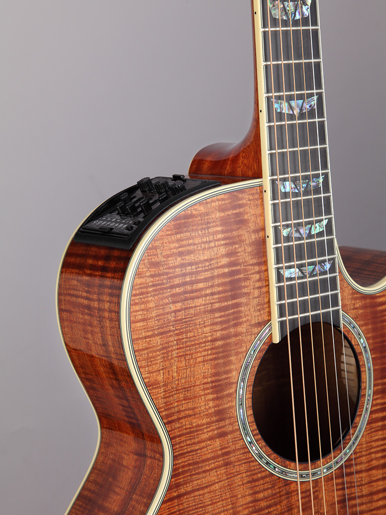 http://www.takamineguitars.co.jp/blog/DMP181ACK%20N_1.JPG