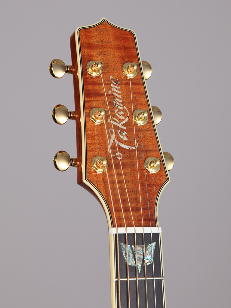 http://www.takamineguitars.co.jp/blog/DMP181ACK%20N_2.JPG