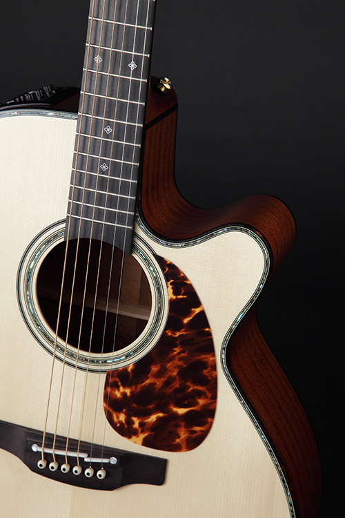 http://www.takamineguitars.co.jp/blog/DMP500CMAD-DC02.jpg