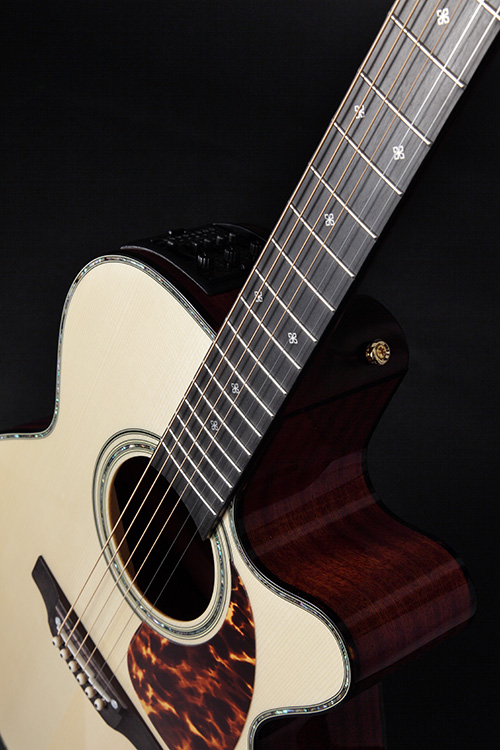 http://www.takamineguitars.co.jp/blog/DMP500CMAD-DC04.jpg