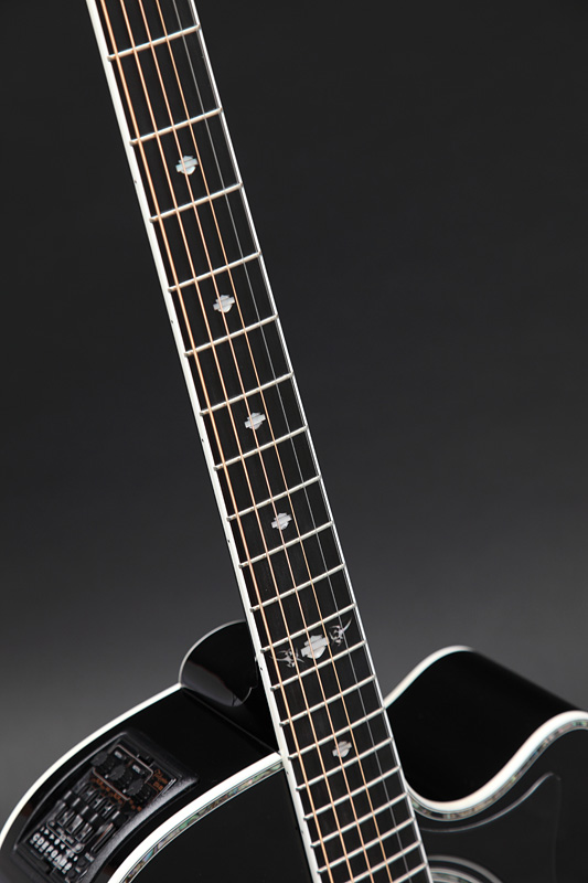 http://www.takamineguitars.co.jp/blog/Harley005.jpg