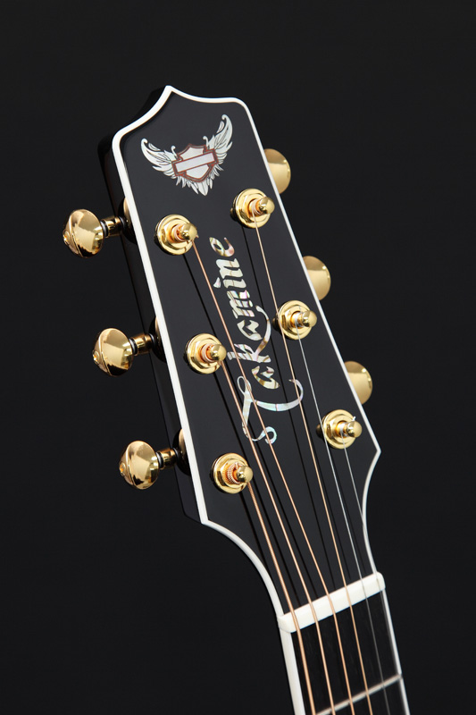 http://www.takamineguitars.co.jp/blog/Harley009.jpg