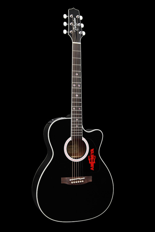 http://www.takamineguitars.co.jp/blog/IMG_0192.jpg