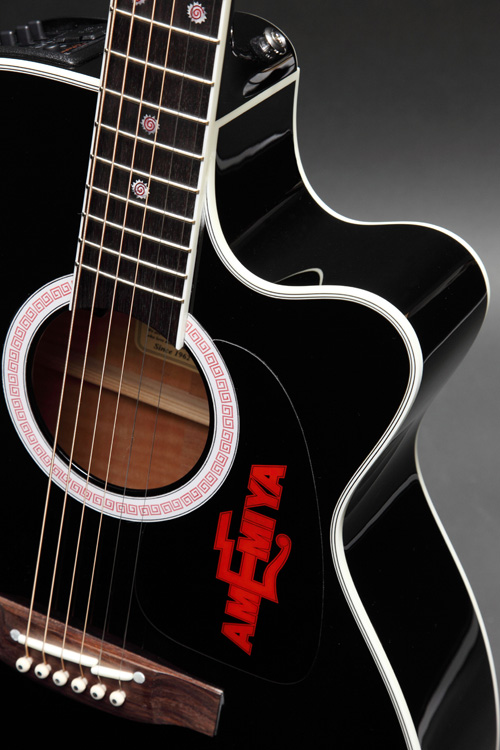 http://www.takamineguitars.co.jp/blog/IMG_0214.jpg