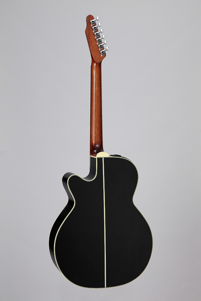 http://www.takamineguitars.co.jp/blog/back%28DMP500-6%20BL%29.jpg