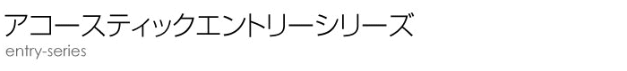 エントリーシリーズ