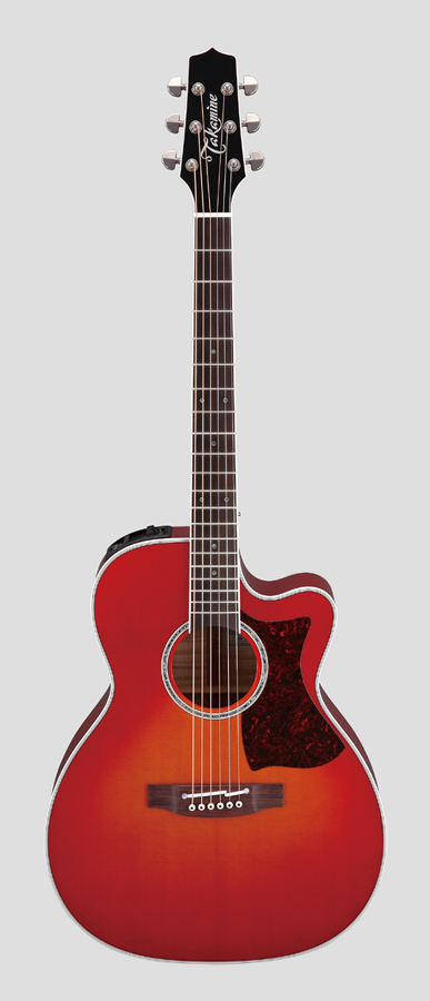 http://www.takamineguitars.co.jp/products/new/DMP751C%28front%29.jpg