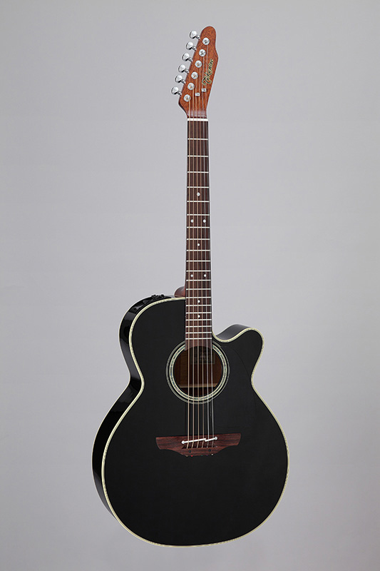 https://www.takamineguitars.co.jp/blog/500-001.jpg