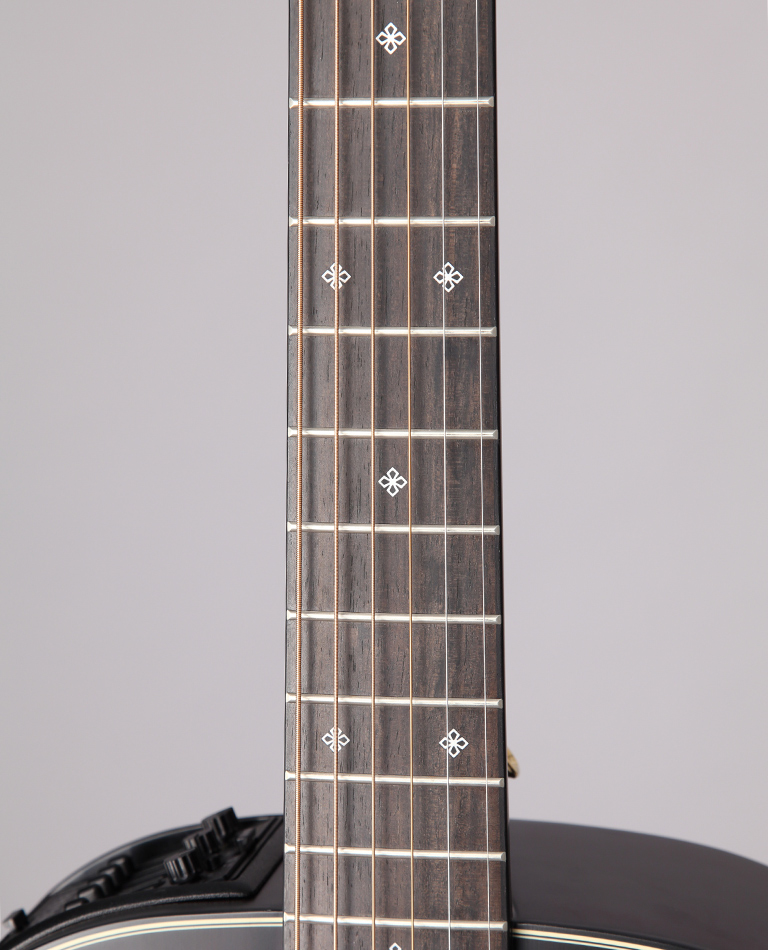 https://www.takamineguitars.co.jp/blog/TDP471M_MTB_003.JPG