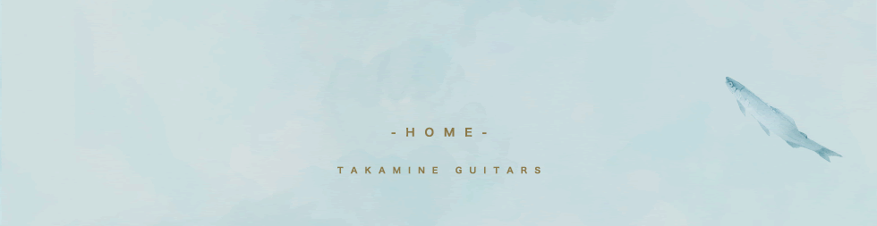 Takamine Guitars