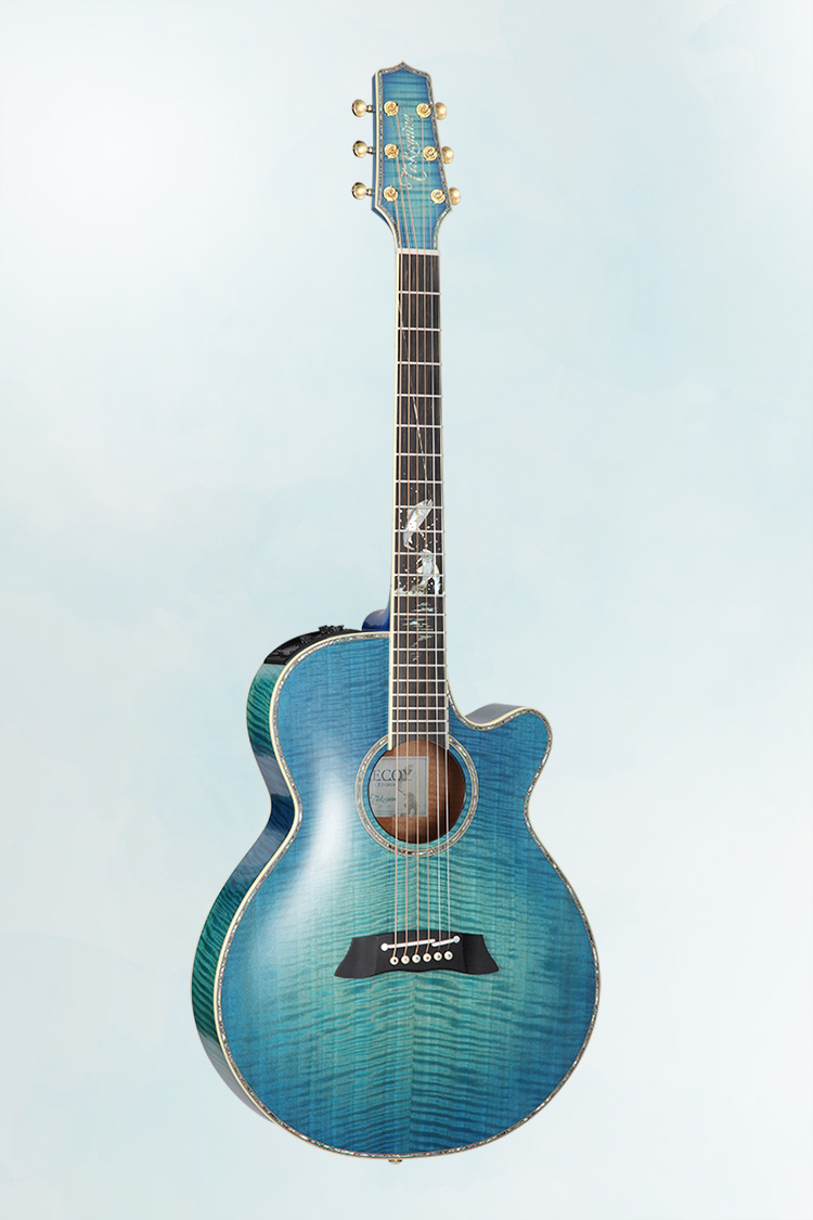 TAKAMINE タカミネ LTD2016 DECOY 022.jpg