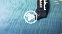 LTD2016 DECUY [ BODY ]