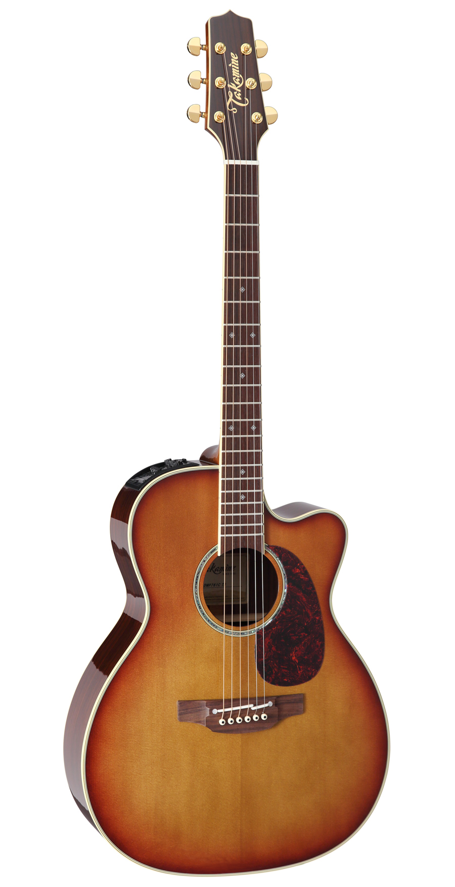 タカミネ Takamine DMP751C CYS エレアコ ギター www.krzysztofbialy.com