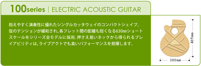 エレアコ 100シリーズ｜ギターラインナップ｜製品情報｜高峰楽器製作所