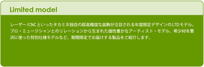 限定モデルギター