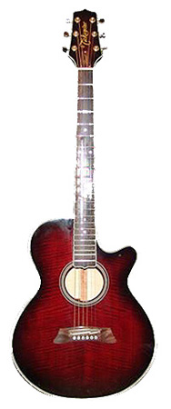 takamine 006切り抜き.jpg